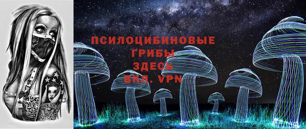 сатива Горнозаводск