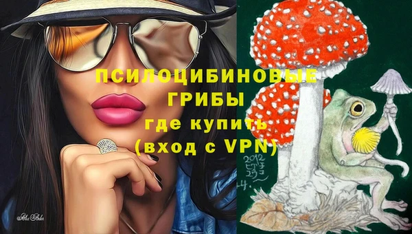 сатива Горнозаводск