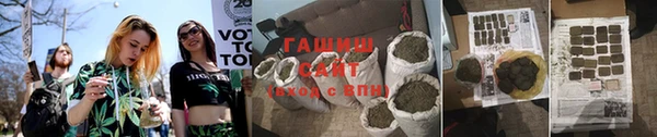 mdpv Горно-Алтайск