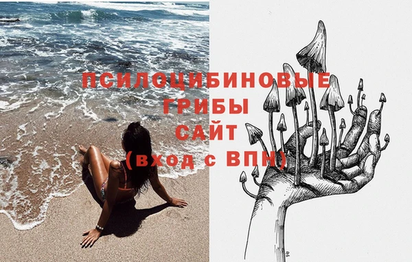 тгк Заводоуковск