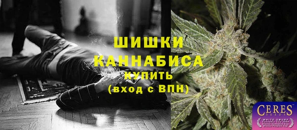 mdpv Горно-Алтайск