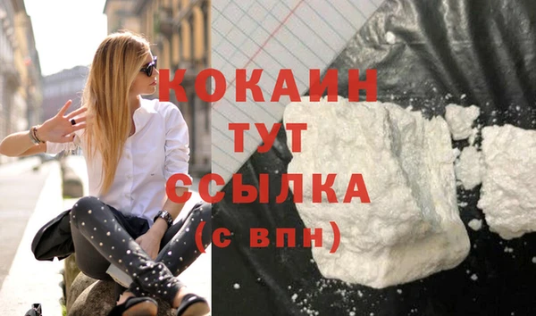 сатива Горнозаводск