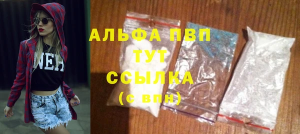 spice Гусев