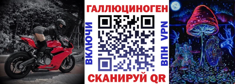 где продают   Зеленоградск  Псилоцибиновые грибы Cubensis 